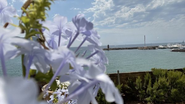 Château de la Napoule by null