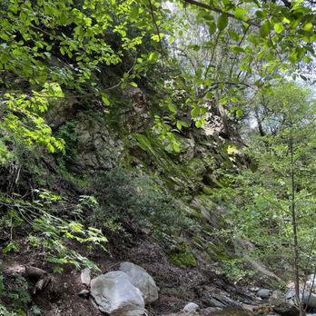 Millard Canyon - Parks Near Me - Altadena, California Millard Canyon - Parks Near Me - Altadena, California