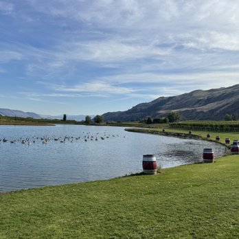 Kismet Estate Winery - a lake with ducks in the background - Wineries Near Me - Oliver, British Columbia Kismet Estate Winery - a lake with ducks in the background - Wineries Near Me - Oliver, British Columbia