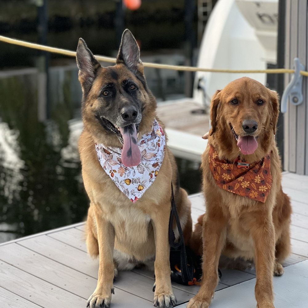 Champ & Charlie's Grooming Salon - Pet Groomers Near Me - Coconut, Florida