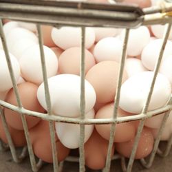 Eichner’s Farm Market - Our Fresh Eggs