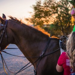 Sabino Equestrian Center