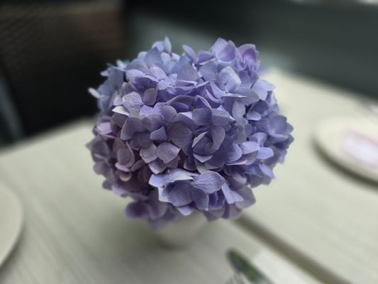 Avli the little Greek tavern by null