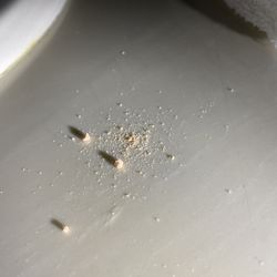 Richland Inn - Remnants of a pill of some sort most likely being crushed...