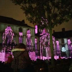 Mairie de Rennes - La mairie pendant les illuminations