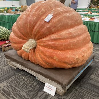 Kentucky State Fair - Record breaking pumpkin 2021 - Stadiums & Arenas Near Me - Louisville, Kentucky Kentucky State Fair - Record breaking pumpkin 2021 - Stadiums & Arenas Near Me - Louisville, Kentucky