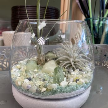 Golden State Succulents - Almost done and I'm completely charmed - Florists Near Me - Fortuna, California Golden State Succulents - Almost done and I'm completely charmed - Florists Near Me - Fortuna, California
