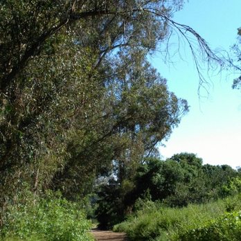 Buena Vista Park - Parks Near Me - Vista, California