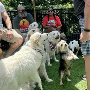 Barkhaven - Dog Parks Near Me - Orlando, Florida Barkhaven - Dog Parks Near Me - Orlando, Florida