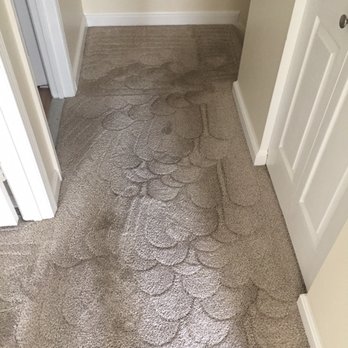 DeJuan's Cleaning Services - Amazing work- so professional!!! - Carpet Cleaning Near Me DeJuan's Cleaning Services - Amazing work- so professional!!! - Carpet Cleaning Near Me