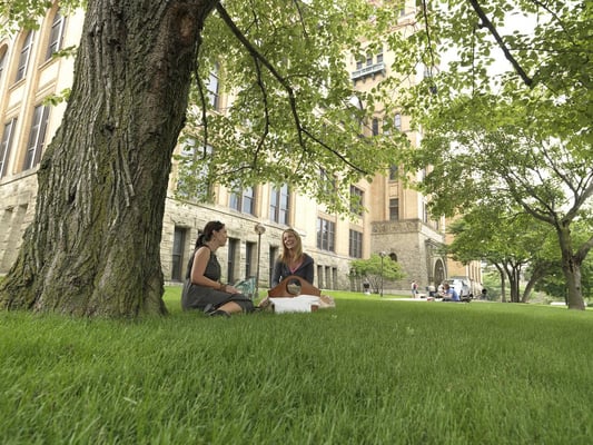 Wayne State University by null