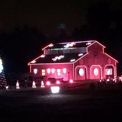 Lights Of Palmetto