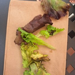 Rotten lettuce Rotten lettuce