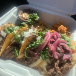 Birria tacos Birria tacos