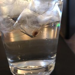 The Binbrook Grill - Unidentifiable object frozen in the ice