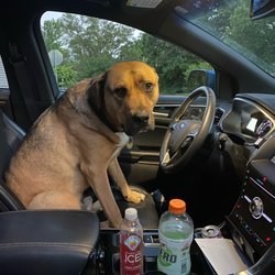 Rick's Auto Service - The long, hot days of summer are gradually coming to an end.  Autumn is just around the corner!