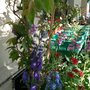 Photo of Vivero Flora y Fauna
