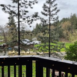 Vertical Horizons Treehouse Paradise - View from balcony.