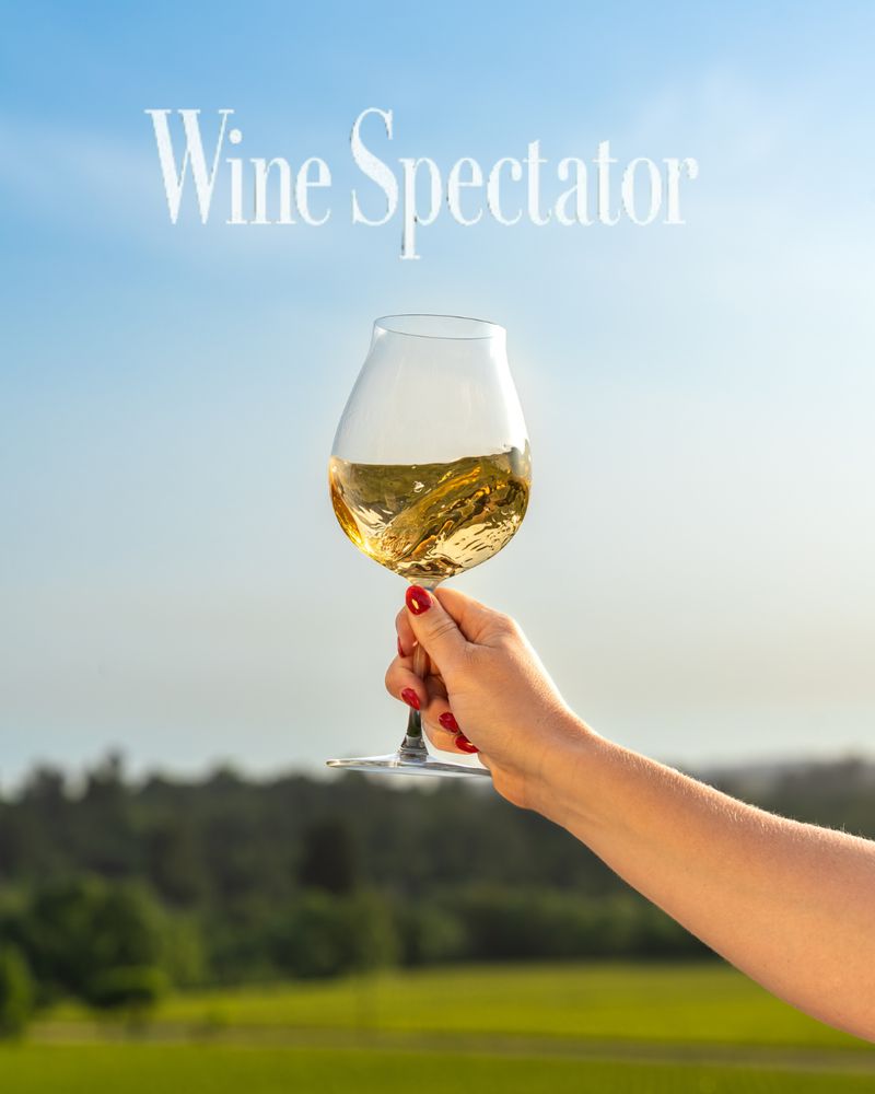 Auteur Wines - Photo 3