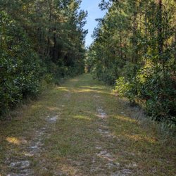 Trail