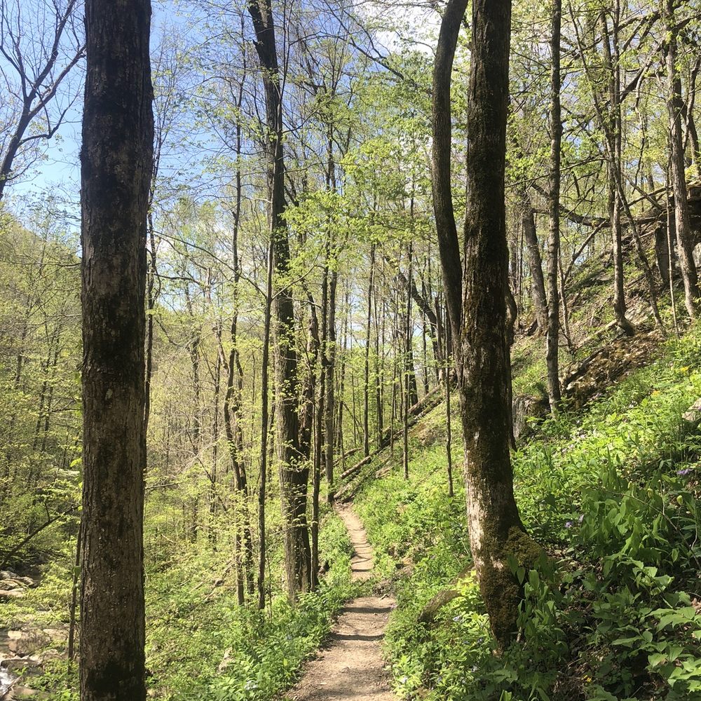Virgin Falls State Natural Area - Hiking Near Me - Sparta, Tennessee Virgin Falls State Natural Area - Hiking Near Me - Sparta, Tennessee