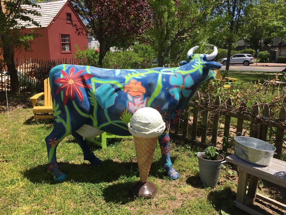 EAST HAMPTON FLOWERS Updated July 2024 44 Photos & 13 Reviews 69