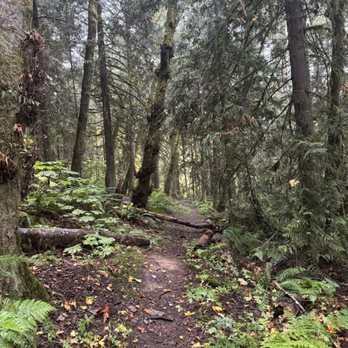 Olympic National Park - Parks Near Me - Port Angeles, Washington