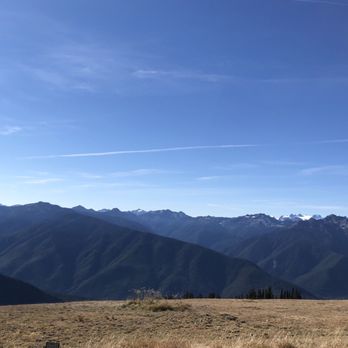 Evergreen Escapes - Tours Near Me - Seattle, Washington Evergreen Escapes - Tours Near Me - Seattle, Washington