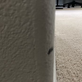 Blue Sky Chem-Dry - Carpet Cleaning Near Me - Perris, California