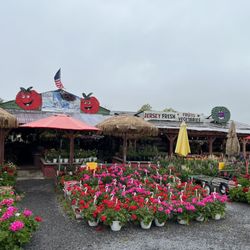 Schaffernoth Flowers & Garden Center - out front