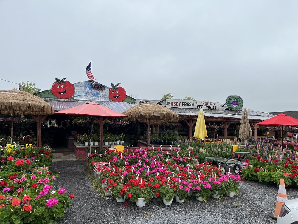 Schaffernoth Flowers & Garden Center Logo