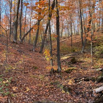 Oberg Mountain Trail - Hiking Near Me - Tofte, Minnesota