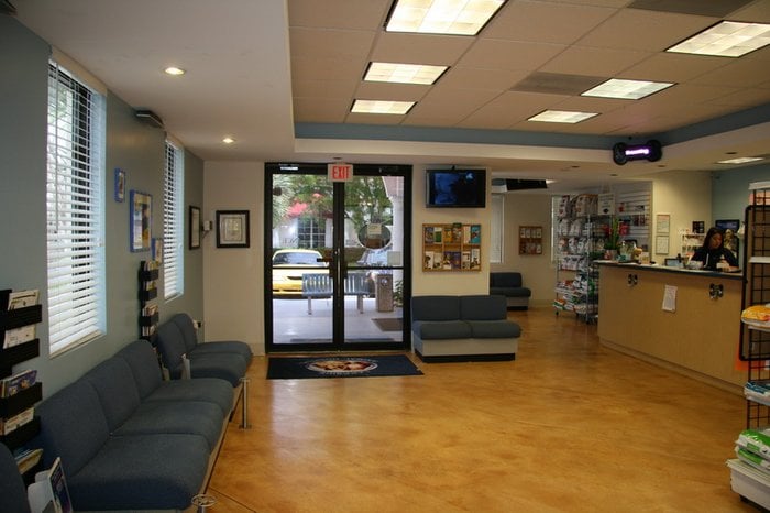 Monica Fernandez, DVM - pet boarding facility in Plantation, FL