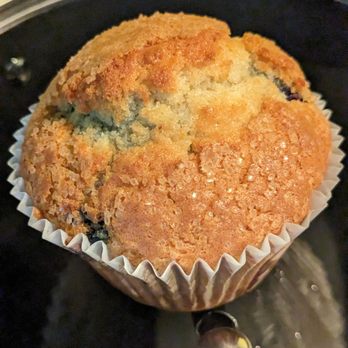 The Latest Kraez - Blueberry Muffin... The Coffee Cake ones we bought didn't last long enough to photograph! - Cupcakes Near Me - Longmeadow, Massachusetts The Latest Kraez - Blueberry Muffin... The Coffee Cake ones we bought didn't last long enough to photograph! - Cupcakes Near Me - Longmeadow, Massachusetts