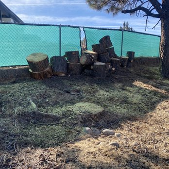 American Tree Services - Tree Services Near Me