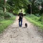 Photo of Shake Wag Walk