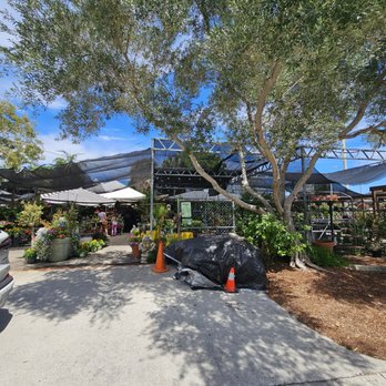 Bloom Garden Shop - Entrance - Nurseries & Gardening Near Me - Tampa, Florida