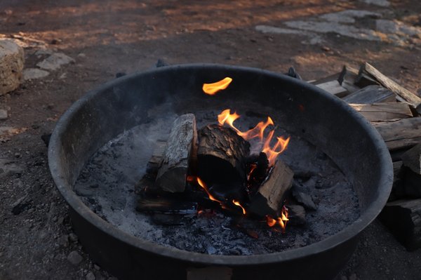 Mather Campground by null