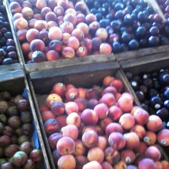 Dan's Farmers Market - Fruits & Veggies Near Me - Alameda, California Dan's Farmers Market - Fruits & Veggies Near Me - Alameda, California