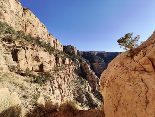 Ooh Aah Point by null