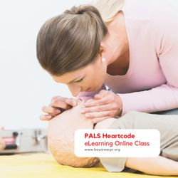 Safety Training Seminars - PALS Heartcode Training in Pleasanton