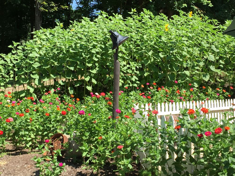 Country Kids Schoolhouse - childcare center in Bedford, NY
