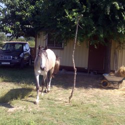 La casa del Tiétar - Hola bebé!