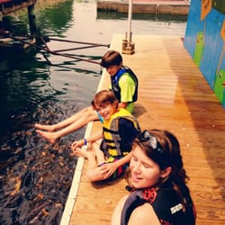 Smith Mountain Dock & Lodge - Fun feeding the pet carp! SML Dock