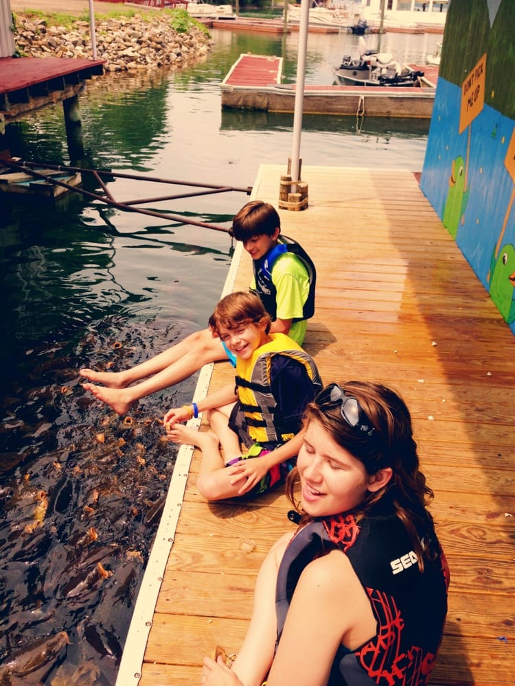 SMITH MOUNTAIN DOCK & LODGE Updated July 2024 10 Reviews 300