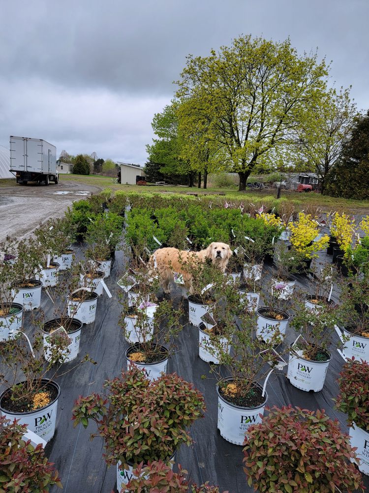 MAPLE LANE NURSERY Updated April 2024 23 Photos 3025 US Route 9