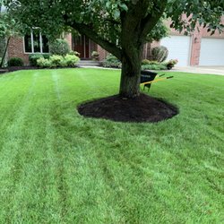 Solis Landscaping - Putting new mulch