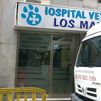 Los Madrazo - Veterinarians Near Me - Madrid, M Los Madrazo - Veterinarians Near Me - Madrid, M