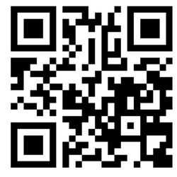 Groovy Home and Gardens - Shop our plants