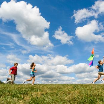 Holistic Pest Solutions - Family friendly treatments for pest control - Pest Control Near Me Holistic Pest Solutions - Family friendly treatments for pest control - Pest Control Near Me